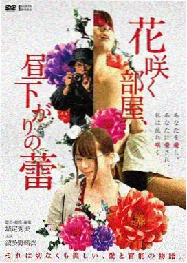 向往的生活第五季灶台与菜地搭建细节
